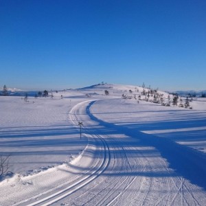 Henningvola februar 2016