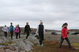 1377403_604652209577584_1314494812_n[2]