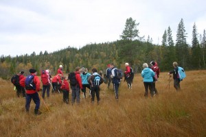 1393241_609719249070880_74131280_n[1]